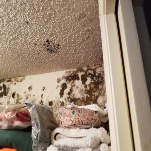 Mold at the top of a wall in a clothing closet